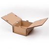 Коробка 009 WRAP BOX 194x232x102