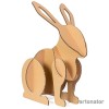 заяц Rabbit
